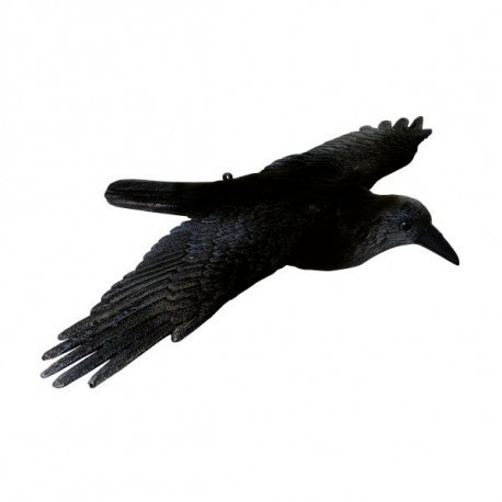 Pack 6 appelants Corbeau ailes ouvertes