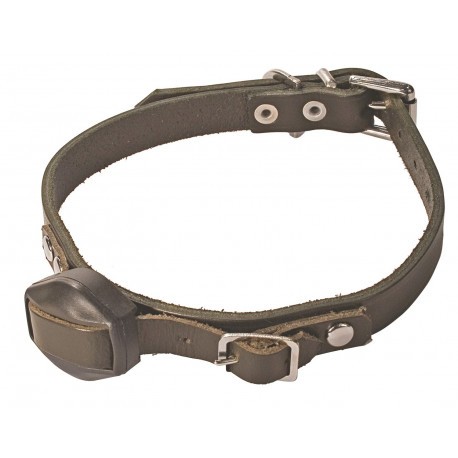 Collier supplémentaire Terrier Finder