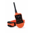 Collier dressage Sport-Trainer 800 M SportDog SD-875E