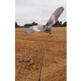 Pack appelant Pigeon Step-Flap avec tige rotative