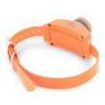 Collier beeper suppl. de dressage & repérage SportDog