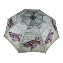 Parapluie canards