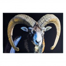 Tapis de cuisine mouflon