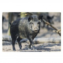 Tapis de cuisine sanglier