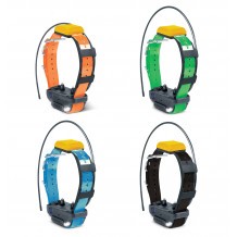 Collier suppl. dressage et repérage GPS Pathfinder 2 Dogtra 