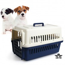 Caisse de transport pour chien