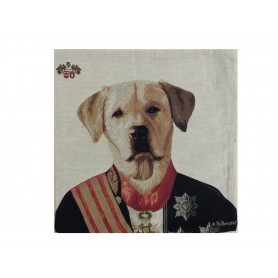 Coussin chien habillé 6