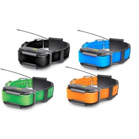 Collier suppl. dressage et repérage GPS Pathfinder Dogtra