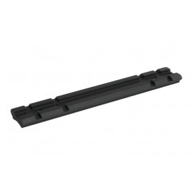 Rail de montage Weaver 21 mm