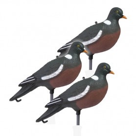 Pack 12 appelants Pigeon HD