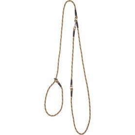Laisse-lasso baudrier en tresse