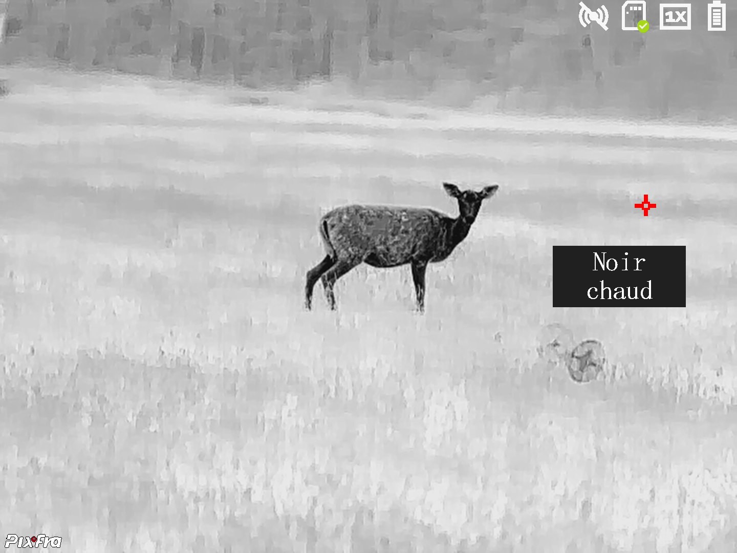 Viseur Thermique GOYOJO E2N, Vision Nocturne Pour Chasse, Imagerie Thermique