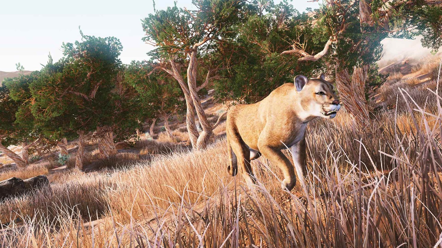 Jeu de chasse sur PC Hunting Simulator Made in Chasse