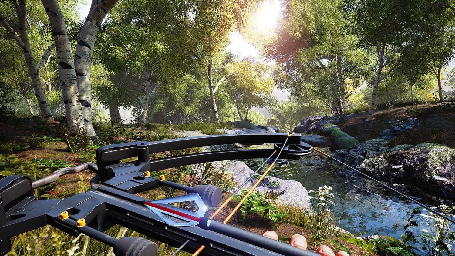 Jeu de chasse sur PS4 Hunting Simulator Made in Chasse
