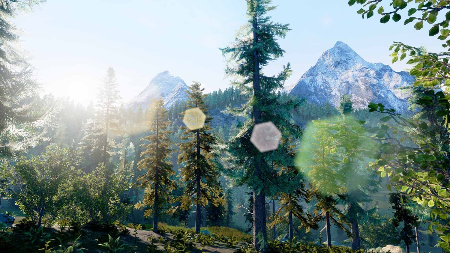 Jeu de chasse sur PC Hunting Simulator Jeux de chasse Made in Chasse