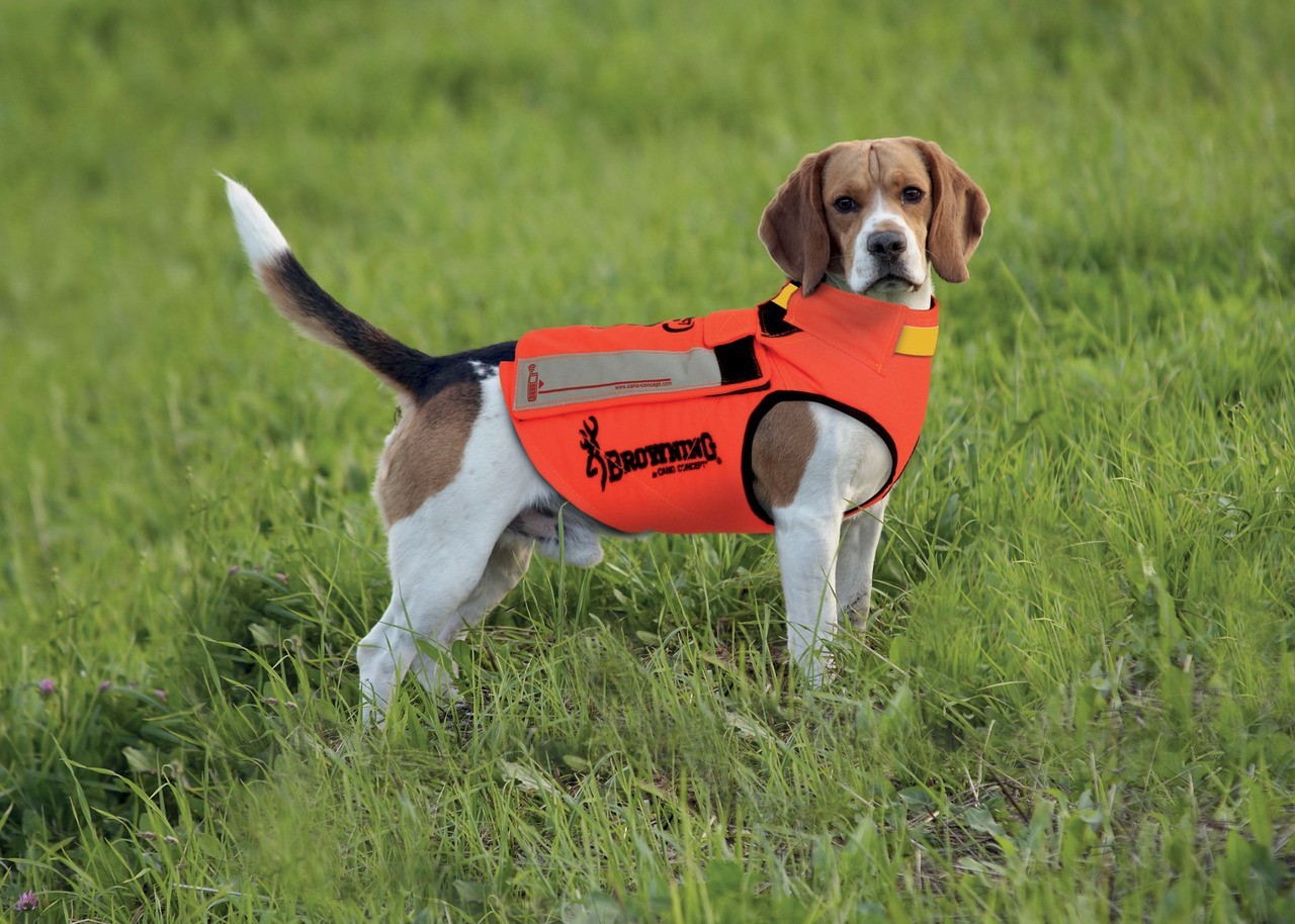 Gilet de protection pour chien de chasse browning pro new arrivals