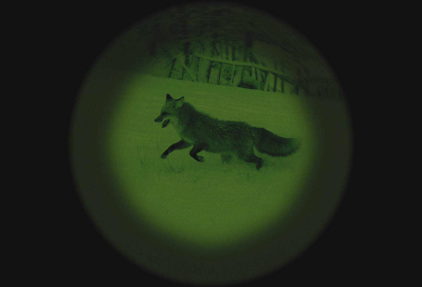 Yukon jumelles vision sales nocturne tracker 3x42