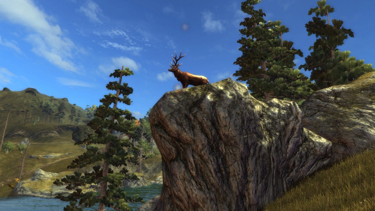 Hunter's Trophy 2 Wii U complet - Jeux vidéo