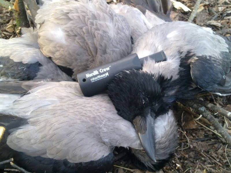 Appeau corbeau Nordik Crow - Chasse aux corvidés | Made in ...