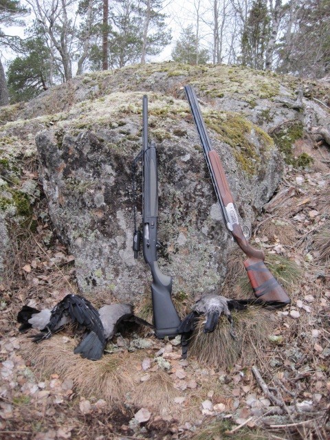 Appeau corbeau Nordik Crow - Chasse aux corvidés | Made in ...