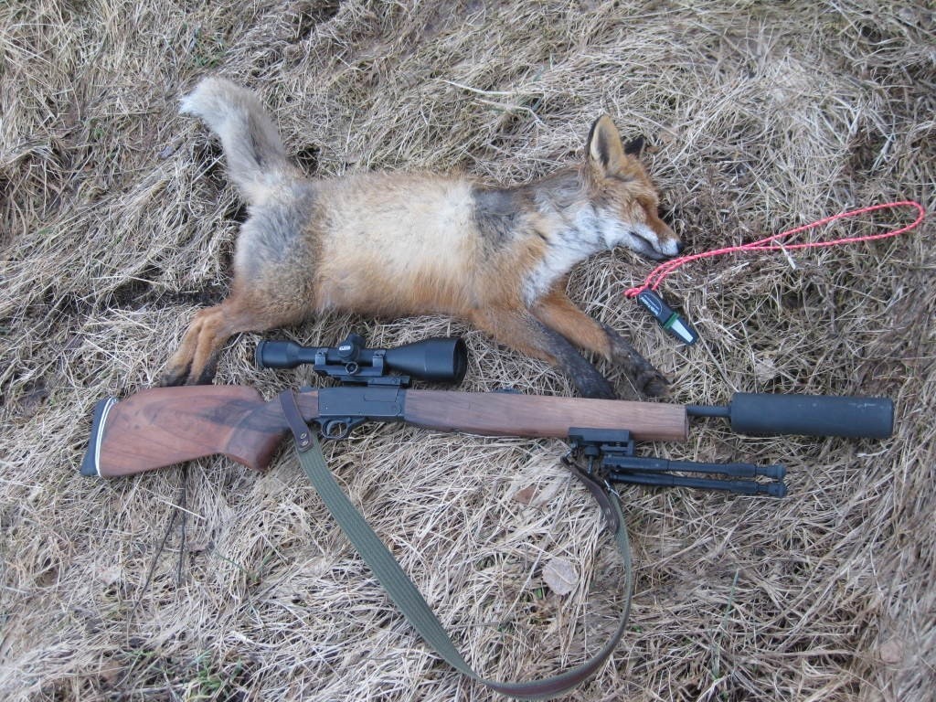 Appeau renard Nordik Predator - Appeaux prédateurs | Made ...