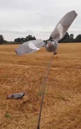 Pack appelant Pigeon Step-Flap avec tige rotative - Chasse ...